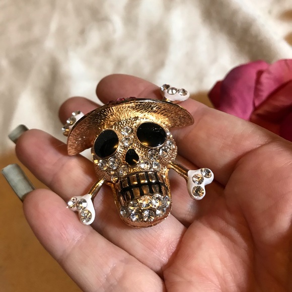 🆕Skeleton with cross bones magnet - Picture 2 of 4